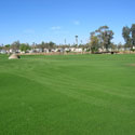 Desert Trails RV Resort & Golf Course
